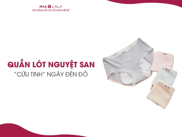 Quần Lót Cho Ngày Đèn Đỏ