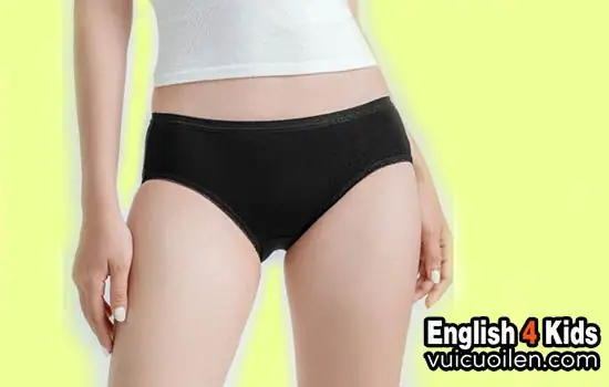 Quần Lót Nữ Tiếng Anh Là Gì