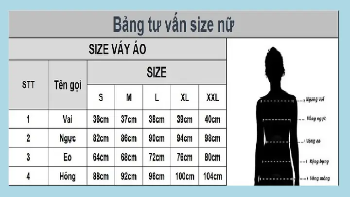Size M Hay L To Hơn