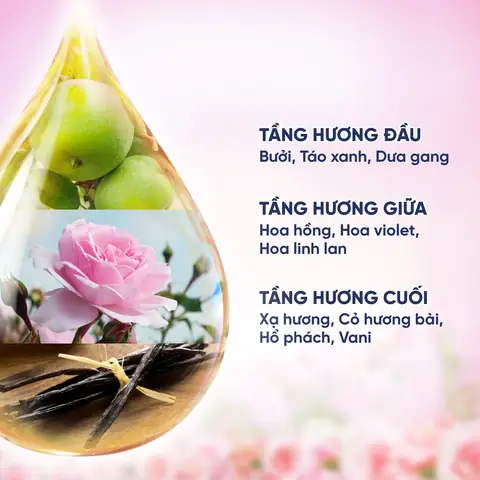 Socola Hay Hoa Hồng Tập Cuối