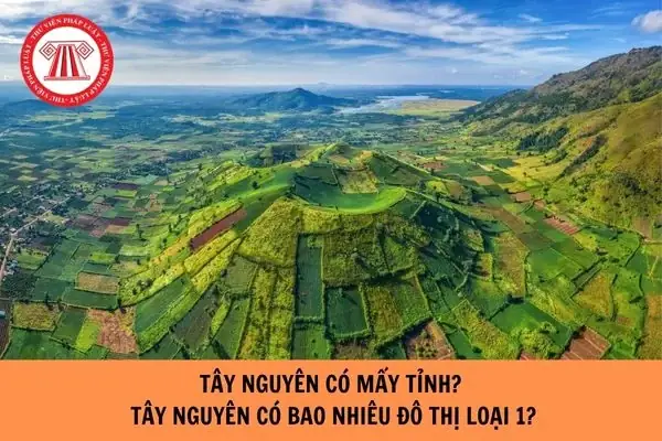 Tây Nguyên Có Mấy Tỉnh? Tổng Hợp Thành Phố Và Đô Thị Loại 1 Toàn Diện