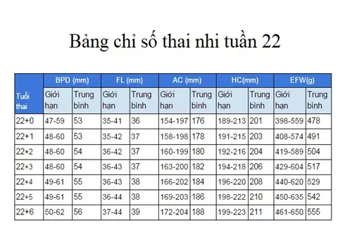 Thai 22 Tuần Là Mấy Tháng
