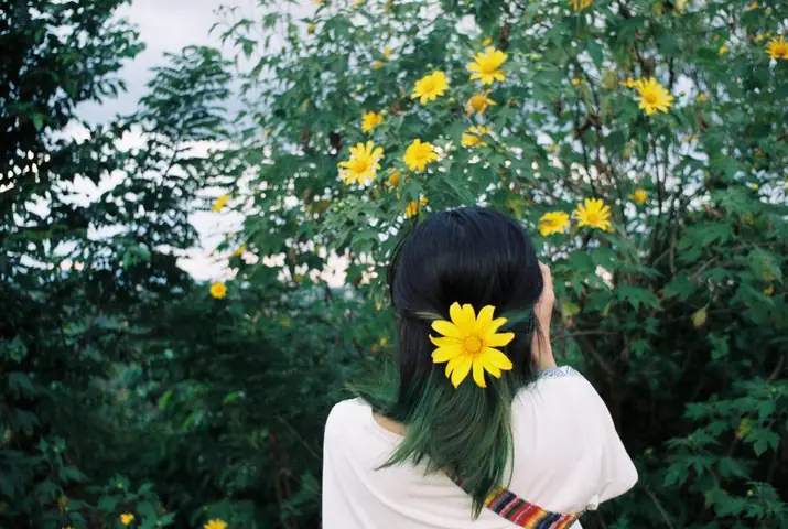 Du Lịch Đà Lạt Tháng 7: Mùa Mây Và Hoa Rực Rỡ Trên Cao Nguyên