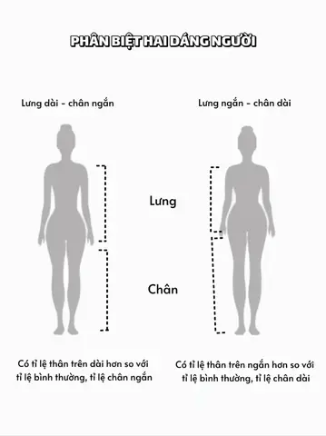 Thế Nào Là Lưng Dài Chân Ngắn