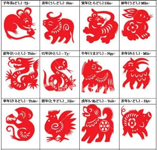 Thỏ Tiếng Nhật Là Gì