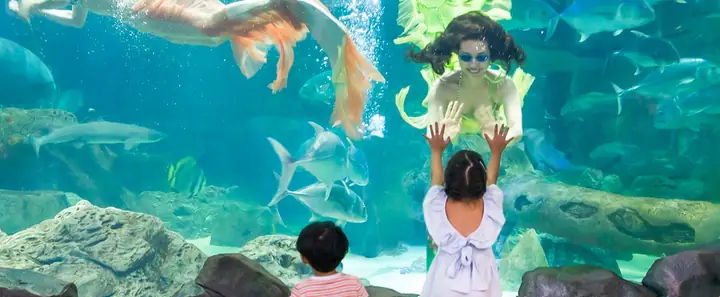 Thuỷ Cung Time City Giờ Mở Cửa