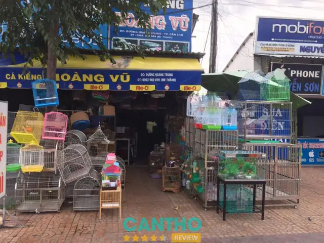 Top 6 Tiệm Cá Cảnh Ở Cần Thơ Uy Tín, Chất Lượng: Đánh Giá Chi Tiết & Bảng So Sánh