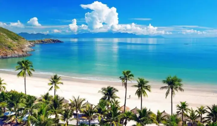 Tiệm Cá Cảnh Nha Trang