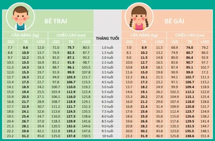 Trẻ 2 Tuổi Cao Bao Nhiêu Cm