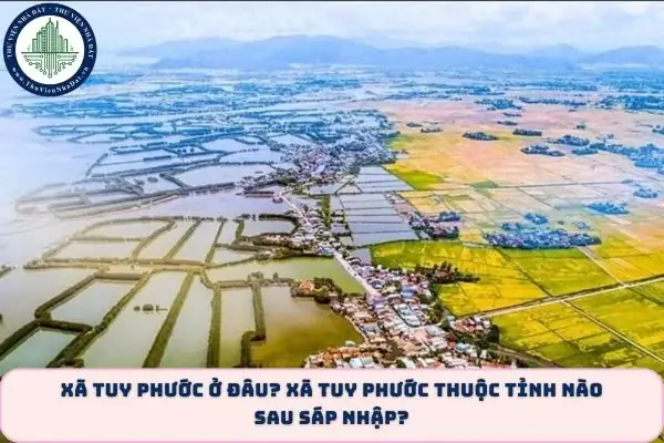 Tuy Phước Thuộc Tỉnh Nào
