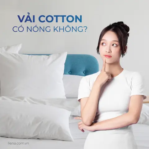 Vải Cotton Có Mát Không? Tổng Hợp Mọi Điều Cần Biết