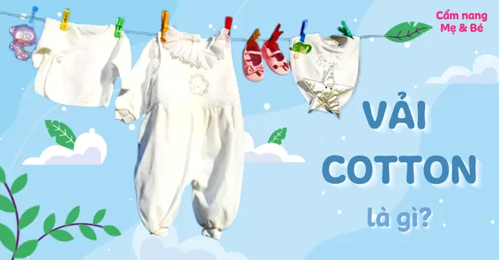 Vải Cotton Là Gì? Tổng Từ Khí Tính Năng Đến Cách Bảo Quản