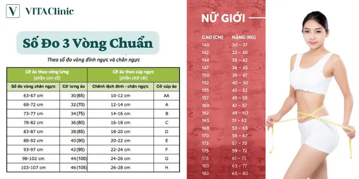 Vòng Eo Trung Bình Của Nữ