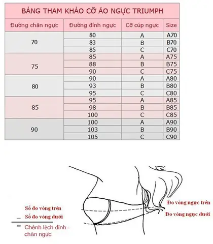 Vòng Ngực 85 Mặc Size Gì