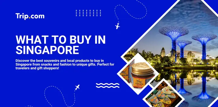 Top 15 Món Quà Tuyệt Chọn Khi Mua Sắm Ở Singapore