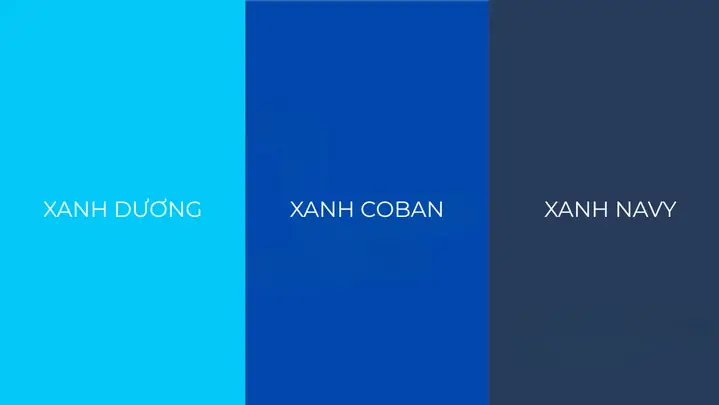 Xanh Coban Và Xanh Navy