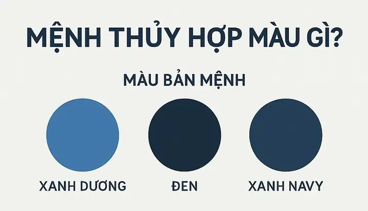 Xanh Navy Và Xanh Than