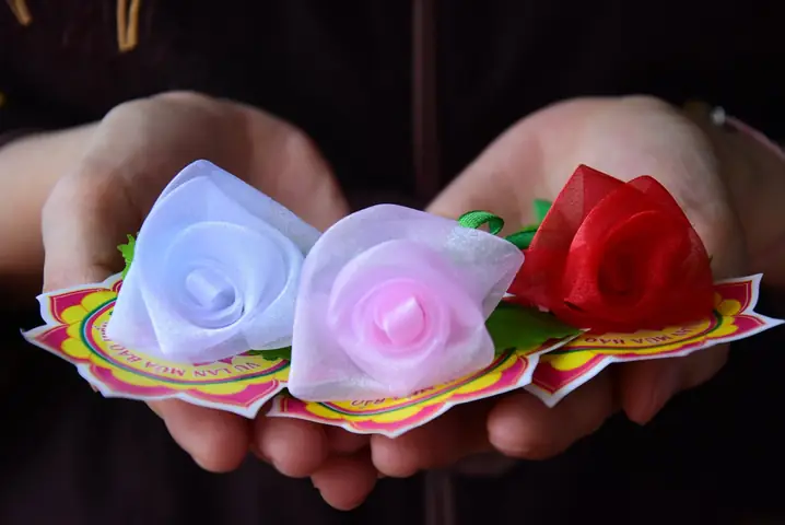 Ý Nghĩa Màu Hoa Hồng Cài Áo
