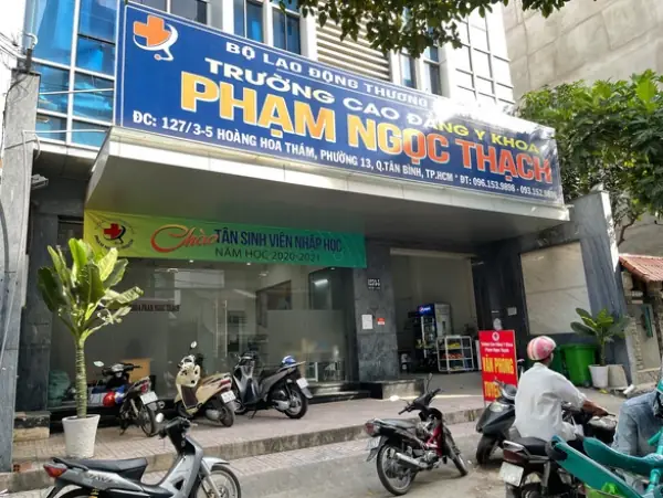 Y Phạm Ngọc Thạch Ở Đâu